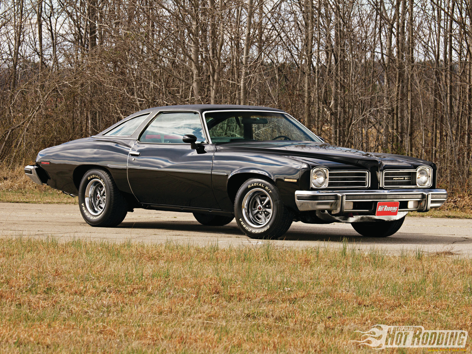 , pontiac, lemans